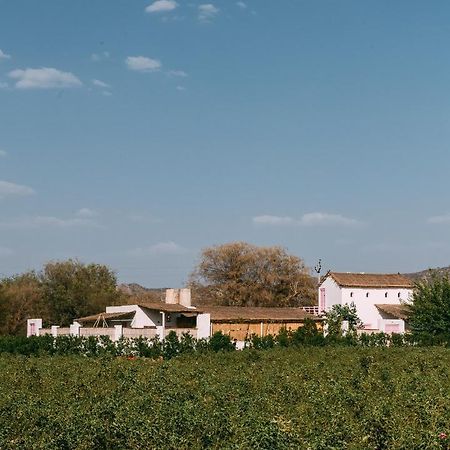 The Luxe Pushkar - A Luxury Farmstay In Pushkar Exterior foto